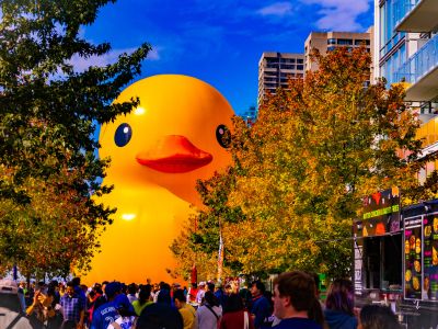 The World’s Largest Rubber Duck Will Make a Splash at Wet ‘n Wild Emerald Pointe’s 40th Anniversary!