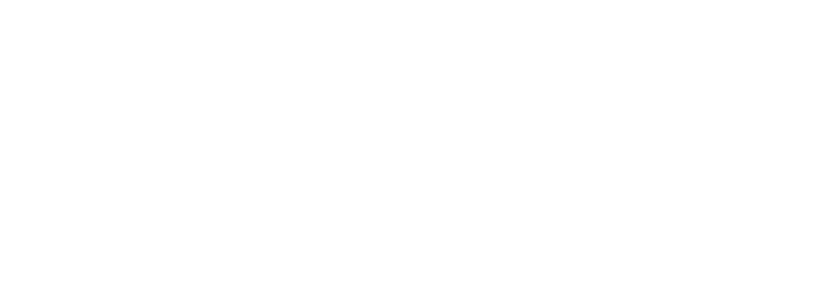 Wet n Wild Logo White